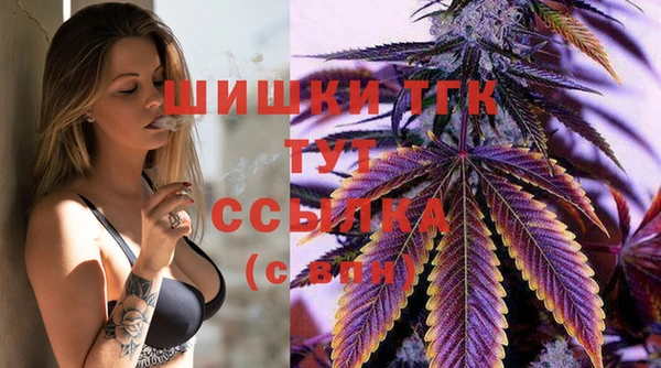 прущие грибы Нефтегорск