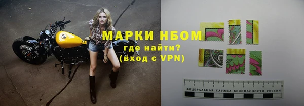 прущие грибы Нефтегорск