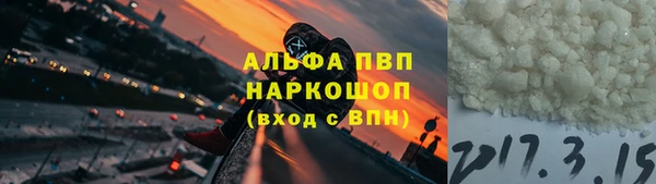 ГАЛЛЮЦИНОГЕННЫЕ ГРИБЫ Новозыбков