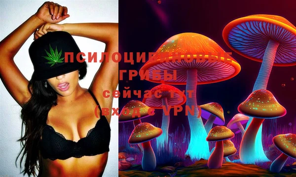 дурь Нея