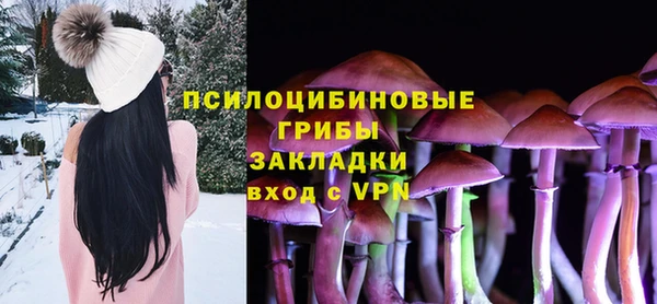 дурь Нея