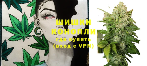 дурь Нея